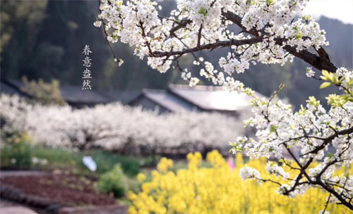 大足观音岩