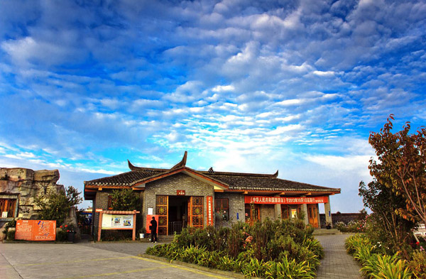 重庆周边游推荐黄水国家森林公园