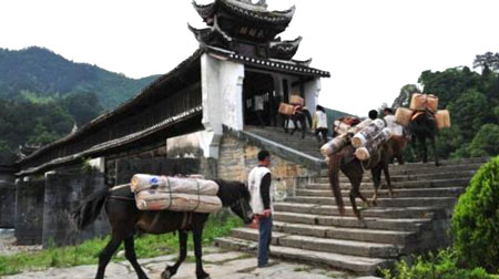 茶馬古道景區(qū)