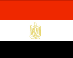 埃及-短期旅游签证