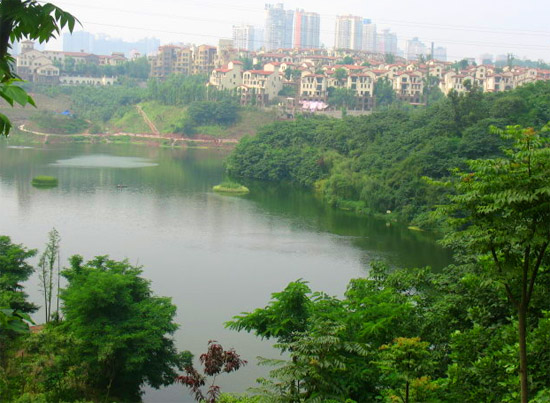 加强生态环境保护 重庆各湿地公园相续开放