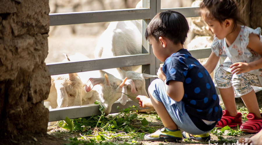 永川乐和乐都娱乐天堂、野生动物世界双园一日游