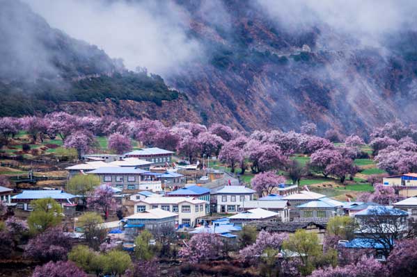【圣洁西藏】拉萨+林芝+羊湖卧飞9日游