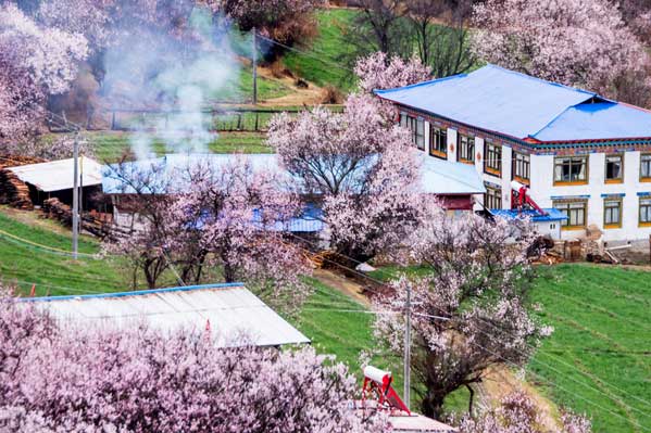 趣耍西藏拉萨-林芝-羊湖卧飞9日游(18人精品小团)