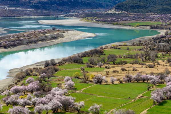 风采西藏拉萨/林芝/羊卓雍错去卧回飞9日游(一价全含/全程0自费)