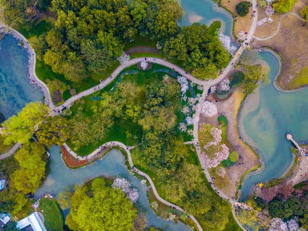 【江南头等舱】上海•南京•苏州•杭州•常州•乌镇•周庄•双飞6日游(VIP 18人精品小包团)