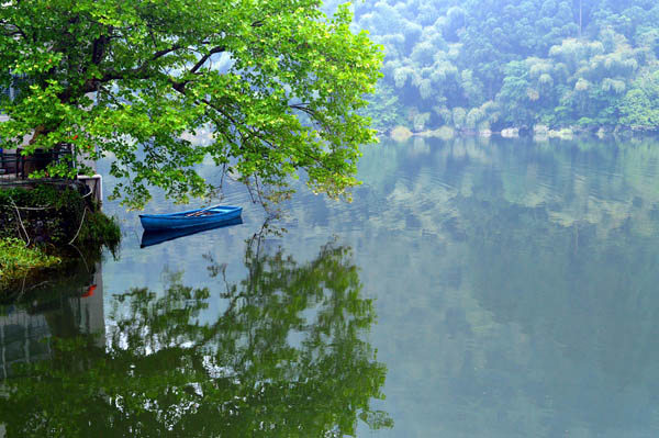 悦游江西庐山·鄱阳湖·石钟山·景德镇·婺源·篁岭双动 5 日游