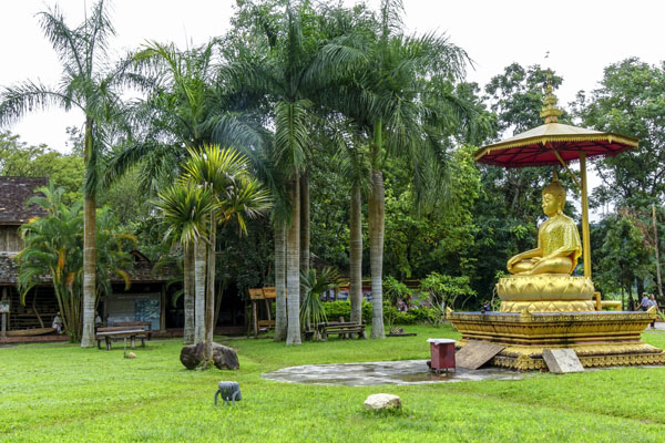 直飞普洱/西双版纳旅游+旅居纯玩8日游
