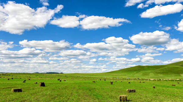 雪遇东北哈尔滨-亚布力-雪乡-雪韵大街双飞6日游