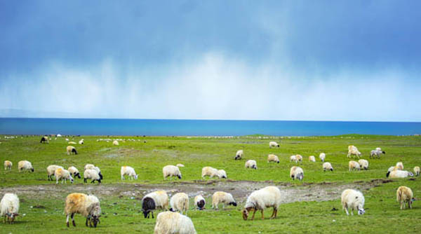 【漠北草原】哈尔滨、呼伦贝尔大草原、满洲里、大兴安岭、漠河、北极村8日/12游(东北+内蒙古)