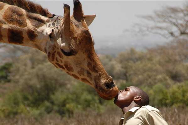 【众行非洲】纳米比亚+津巴布韦+赞比亚12 天游(非洲南部新3国联游)