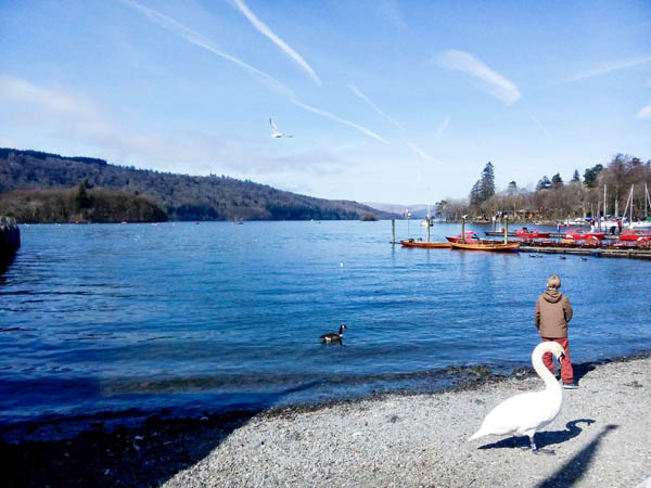 日内瓦湖、图恩湖、布里恩茨湖和琉森(卢塞恩) 湖等瑞士风光最美的湖泊连接在一起的引人入胜的线路