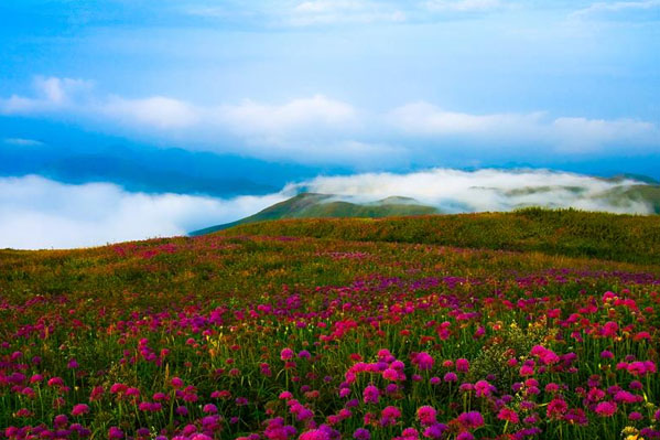 贵州乌江寨+红果树汽车纯玩2日游