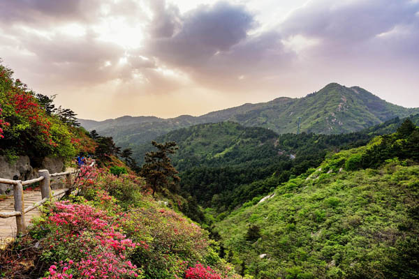 百里杜鹃-赤水大瀑布-奢香古镇汽车3日游