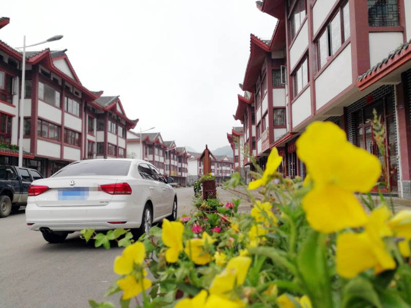 夏天去贵州百里杜鹃避暑包吃包住双动7/10/15/30日避暑游报价