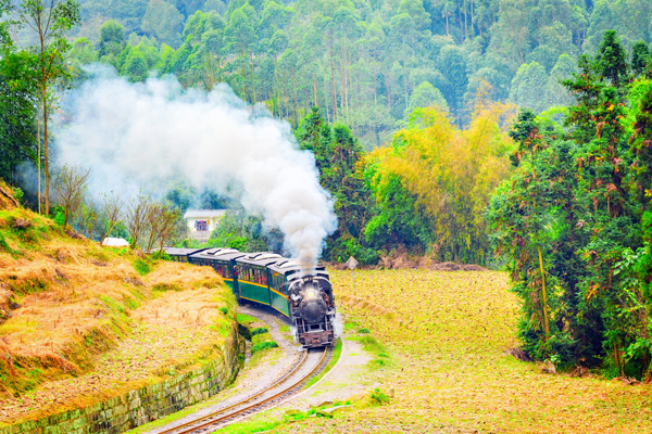 嘉阳桫椤湖油菜花海+乐山美食+矿山公园博物馆+罗城古镇2日游