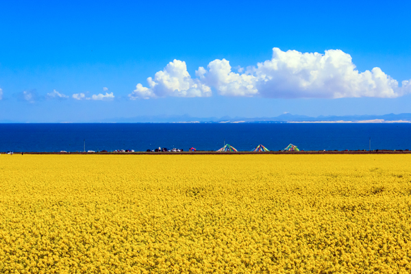 西北甘肃-张掖-丹霞口-嘉峪关-莫高窟-鸣沙山-青海湖-茶卡盐湖8日游(青甘环线寻梦环游记)