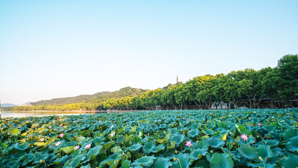 【夜宿周庄】上海+苏州+杭州+扬州+无锡+南京双飞6日游