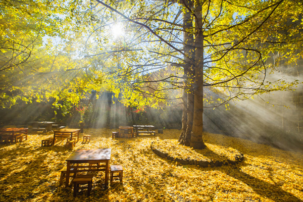 昆明、芒市、瑞丽、腾冲纯玩 6 日游(20人精品小团/滇西奢韵)