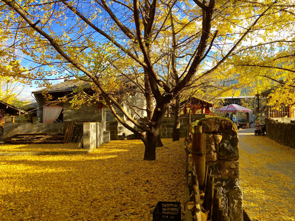 【有风之旅】丽江+大理+泸沽湖双飞5日纯玩游