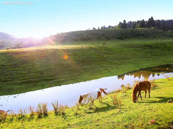 【巴渝悦】 仙女山国家森林公园、天生三桥、武陵山大裂谷、816 工程、乌江画廊纯玩2日游