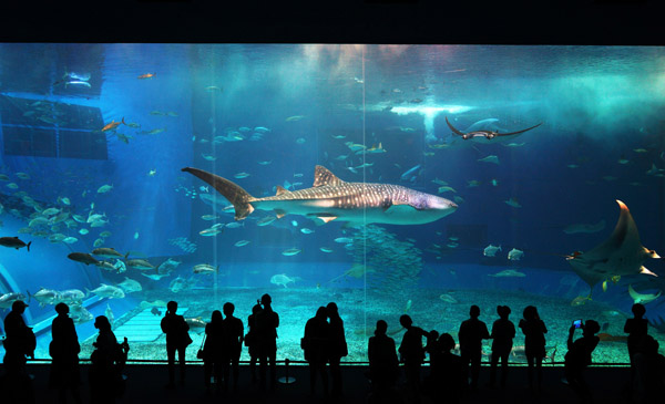 【北陆秘境】京都/白川乡/富士山/东京/奈良/大阪6日(重庆直飞)