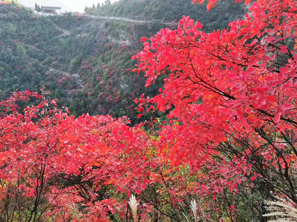 【星耀渝东北】巫山神女天路、小三峡、 奉节白帝城、三峡之巅三日游3天2晚美食之旅