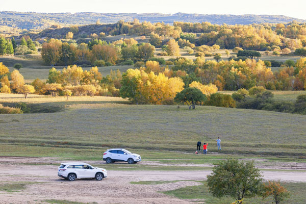 走进坝上木兰围场-北戴河-仙螺岛外滩-避暑山庄-乌兰布统-锡林郭勒纯玩7日游