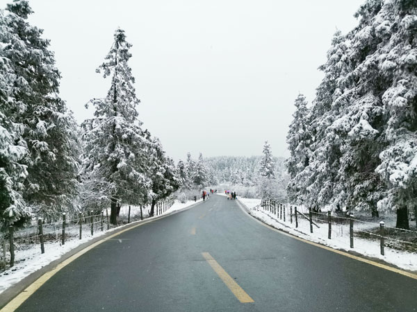 武隆仙女山冰雪纯玩一日游