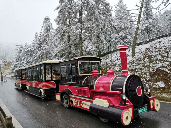 【仙女山冰雪盛宴】武隆仙女山冰雪季汽车1日游