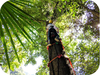 黄水奇幻森林5天4夜探险营