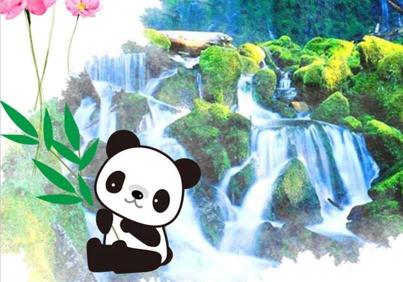 恋上九寨沟+黄龙+熊猫乐园纯玩5日游
