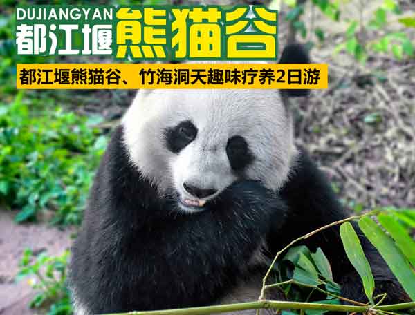 都江堰、熊猫谷、竹海洞天趣味疗养2日游