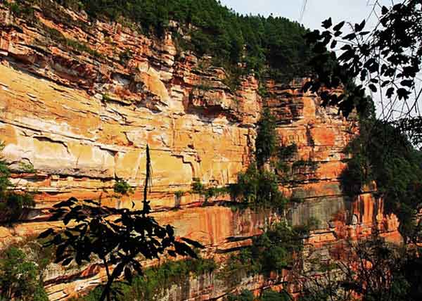 【寻梦紫藤花】江津紫藤花、鼎山公园一日游