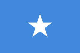 索马里-短期商务签证