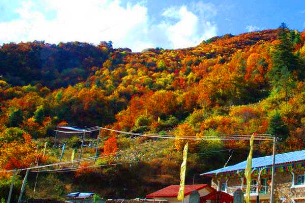 岚天乡彩叶季、 云上八台山、乡村欢乐谷 苏维埃纪念馆三日游