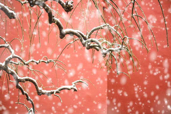 畅游北京双卧七日游