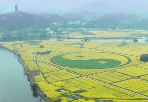 潼南油菜花海、双江古镇、安居古镇、玄天湖、空中有机草莓园 2日游