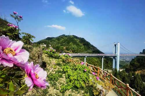 垫江恺之峰牡丹园、牡丹会、三合湖一日游