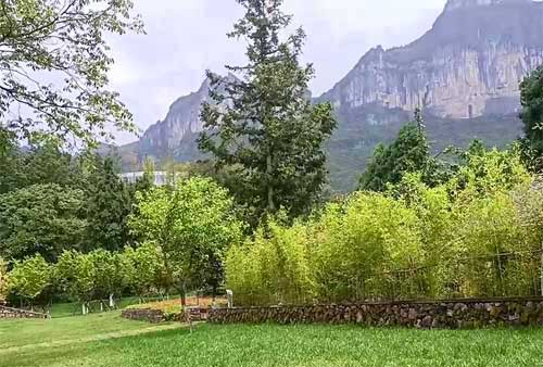 【避暑旅居丨武隆双河镇】武隆双河夏日避暑15日/30日游