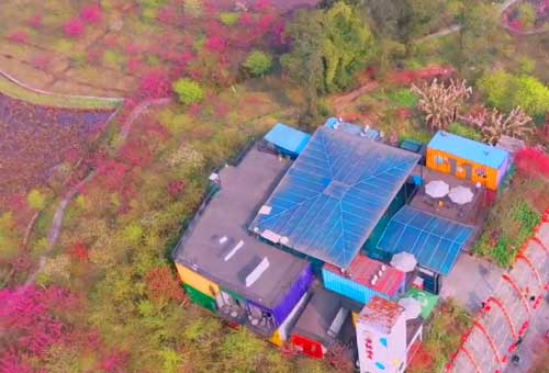 江津紫藤花海+鼎山公园精品1日游