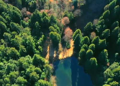 湖北利川双动避暑5/7/10/15/20/30天自由行