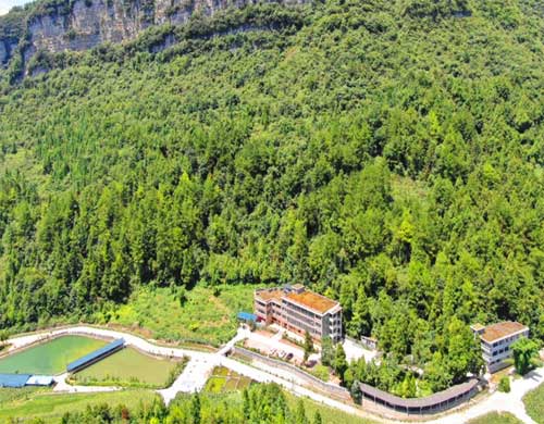 习水寨坝避暑旅居7天6晚自由行