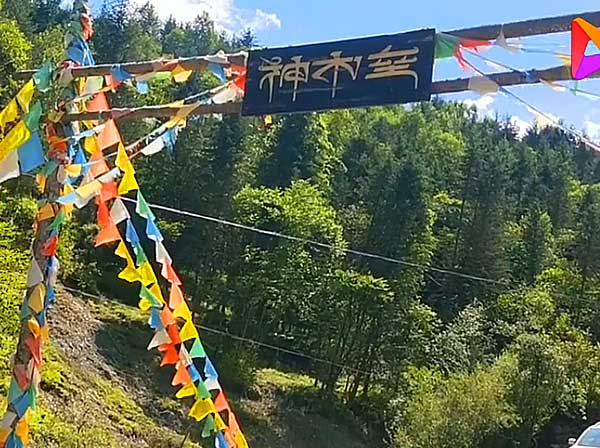 雅安神木垒•仁朵/和平藏寨避暑旅居5日游