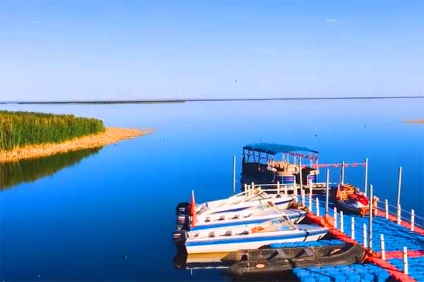 【秋摄胡杨】兰州、张掖、额济纳旗双动7日游