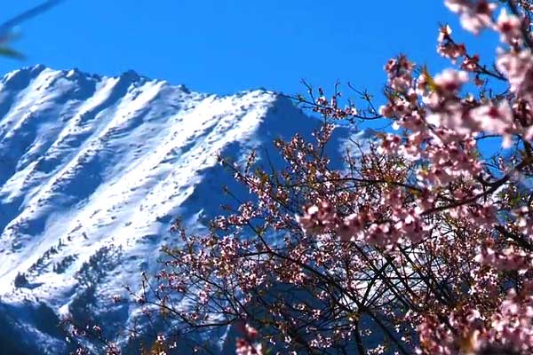 【西藏念歌-峡谷篇】拉萨、林芝、羊湖双飞7日游