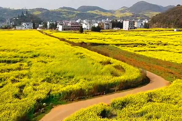 【乘风破浪的少年】重庆南川黎香湖5天4晚水上运动夏令营