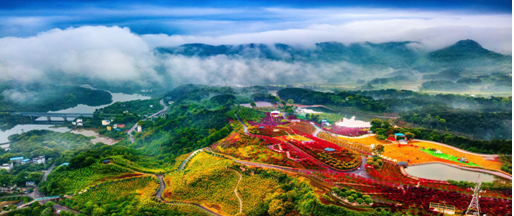 【巴南】南湖多彩植物园、西流古镇一日游