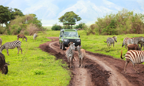 肯尼亚-南非野生动物保护区002-锐景 (1)