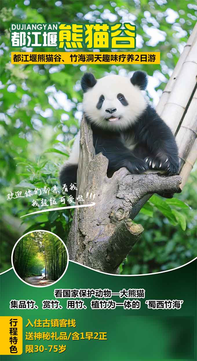 熊猫谷广告图